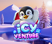 Icy Ventures
